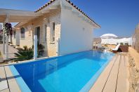 ������ �������� | �������� ����� ����� �����